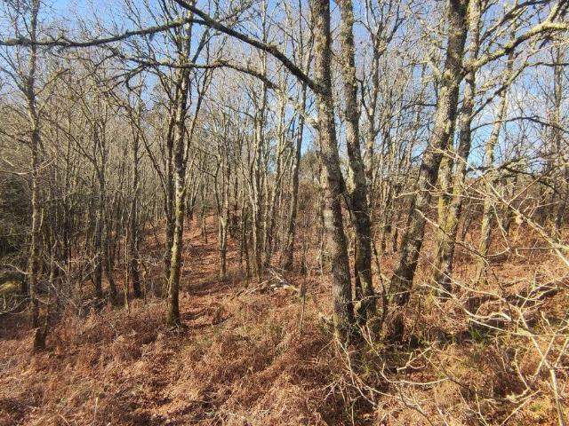 Terreno en venta en Cerdedo Cotobade, Tabeirós - Terra de Montes