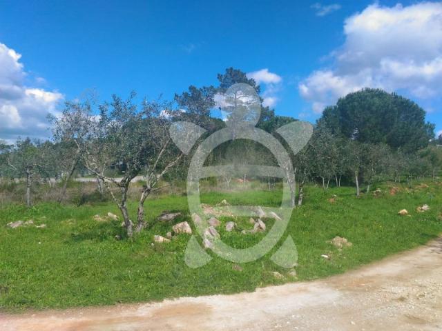 Terreno venda em Coimbrã, Cernache