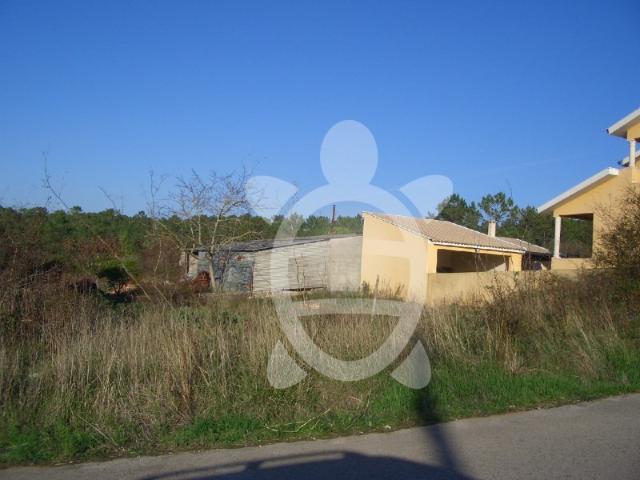 Terreno venda em Coimbrã, Cernache