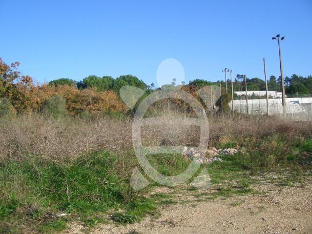 Terreno venda em Coimbrã, Cernache
