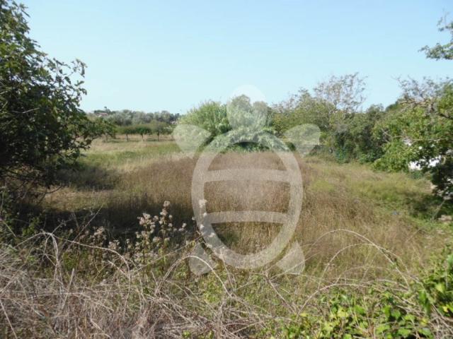Terreno venda em Coimbrã, Cernache
