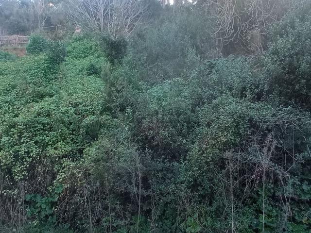 Terreno en venta en Baix Llobregat, Catalunya
