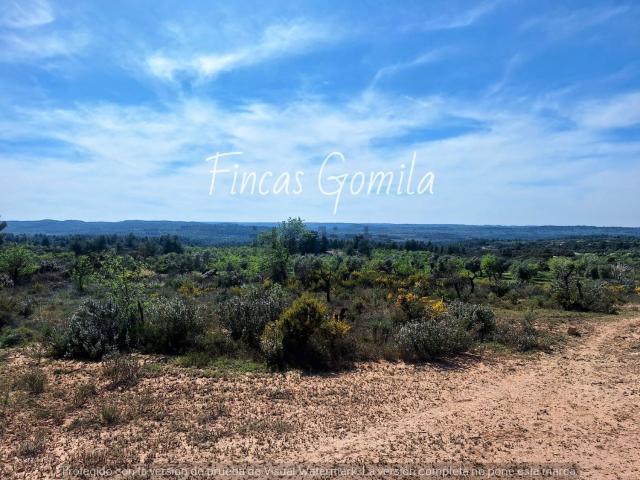 Terreno en venta en Garrigues, Catalunya