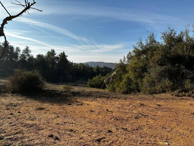 Terreno en venta en Garrigues, Catalunya