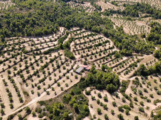 Terreno en venta en Garrigues, Catalunya