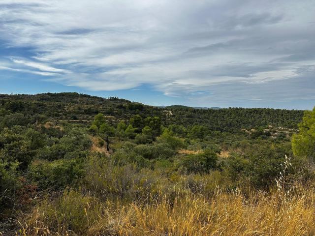 Terreno en venta en Garrigues, Catalunya