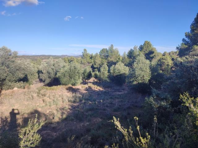 Terreno en venta en Garrigues, Catalunya