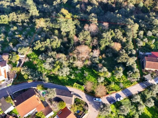 Terreno venda em Coimbrã, Coimbra