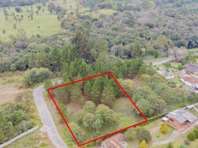 Terreno venda em Pinhais, Região Geográfica Intermediária de Curitiba