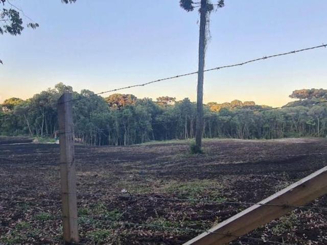 Terreno venda em Região Geográfica Imediata de Curitiba, Região Metropolitana de Curitiba