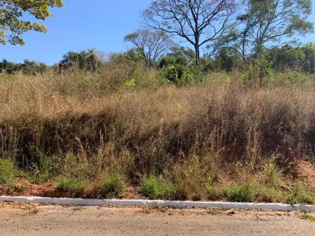 Fazenda venda em Região Geográfica Imediata de Goiânia, Bela Vista de Goiás