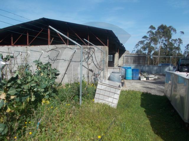 Terreno venda em Donairia, Leiria