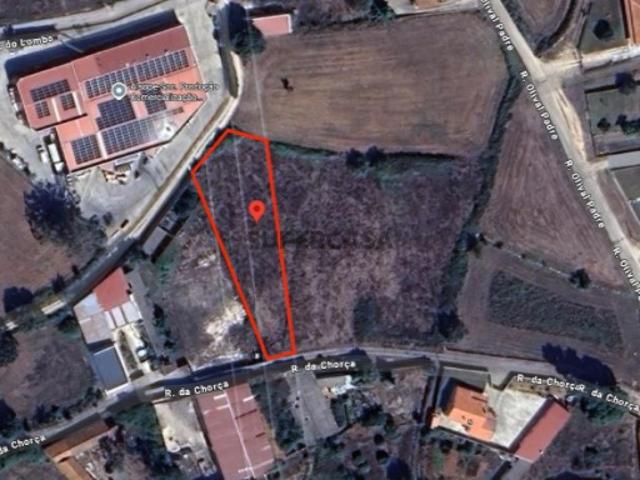 Terreno venda em Alcobaça, Leiria