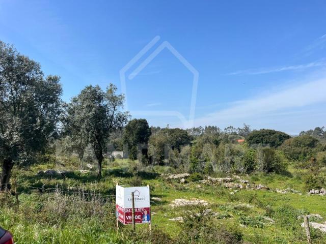 Terreno venda em Alcobaça, Leiria