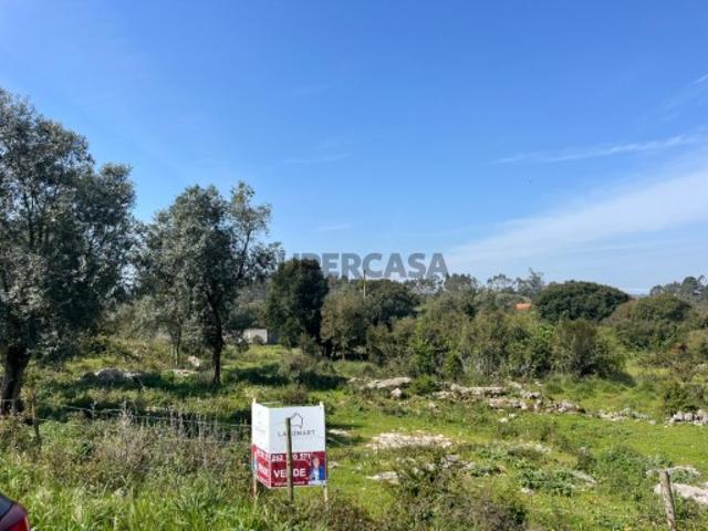 Terreno venda em Alcobaça, Leiria