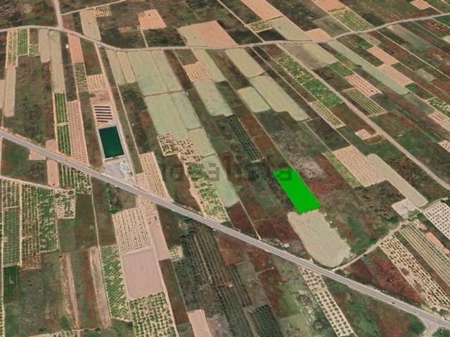Terreno en venta en la Plana Baixa, Valencia