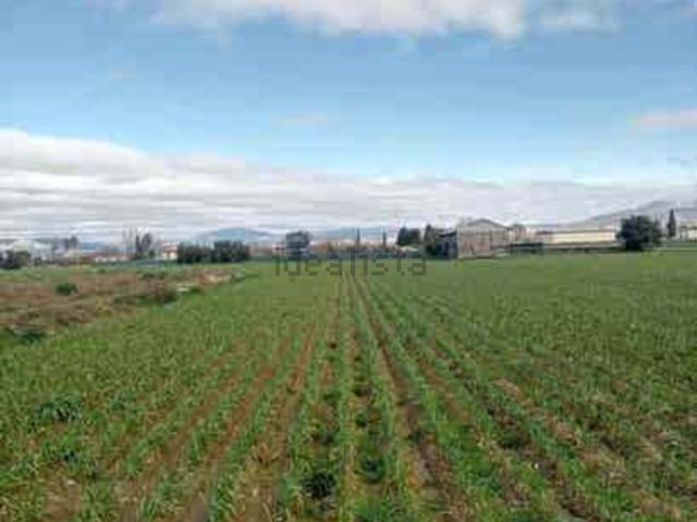 Terreno en venta en Comarca de la Vega de Granada, Andalucía