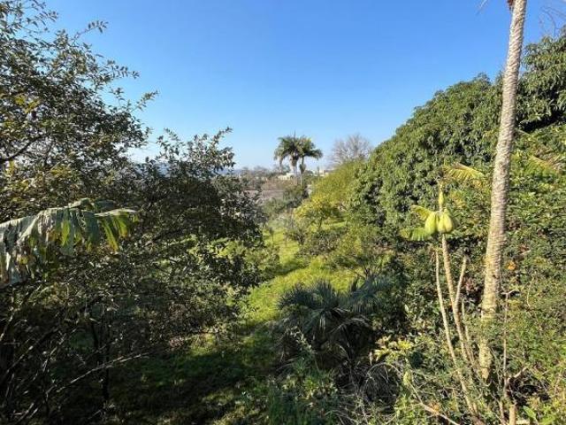 Terreno venda em Cidade Alta, Santo Antônio da Patrulha