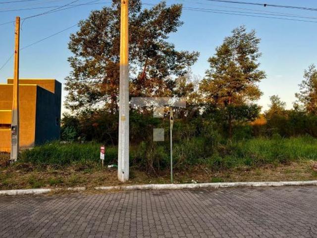 Terreno venda em Região Geográfica Imediata de Novo Hamburgo - São Leopoldo, Lindolfo Collor