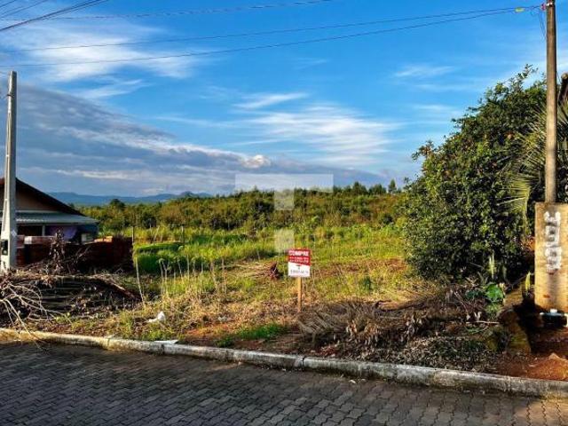Terreno venda em Centro, Lindolfo Collor
