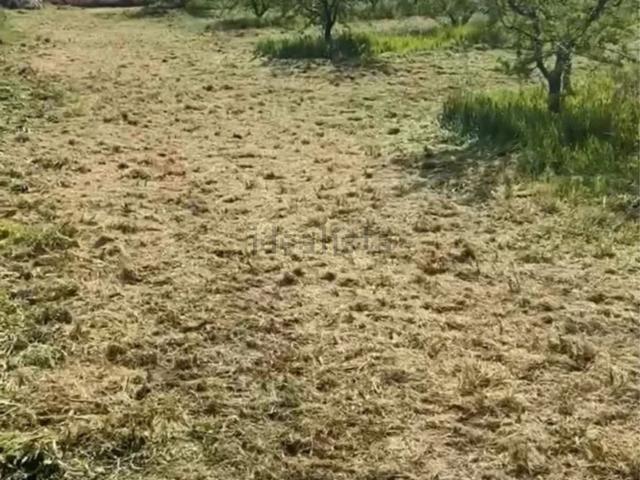 Terreno en venta en Comarca de la Vega de Granada, Andalucía