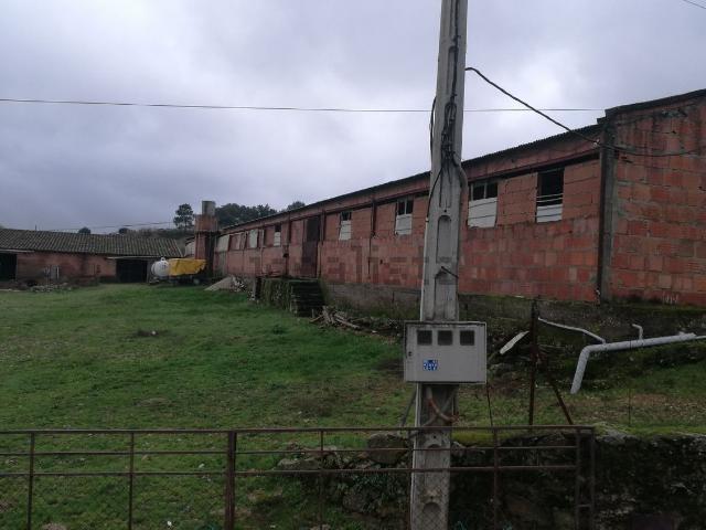 Terreno en venta en Cilleros, Extremadura