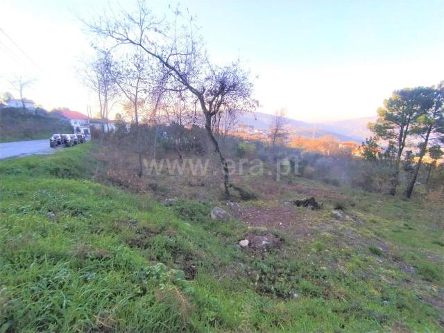 Terreno venda em Cinfães, Viseu
