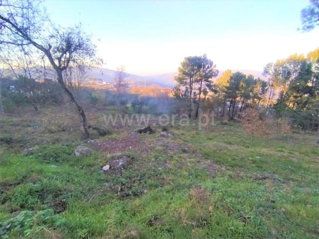 Terreno venda em Cinfães, Viseu