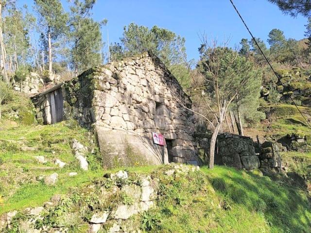 Terreno venda em Ruivais, Ferreiros De Tendais