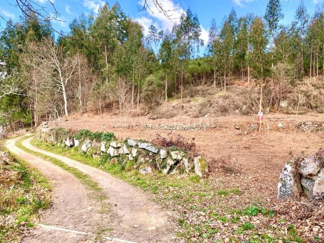 Terreno venda em Fornelos, Viseu
