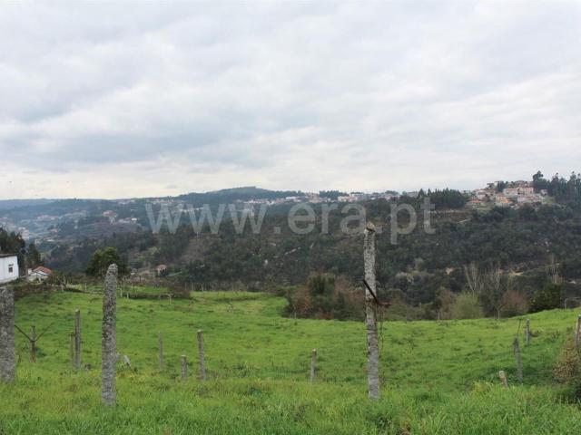 Terreno venda em Moimenta, Viseu