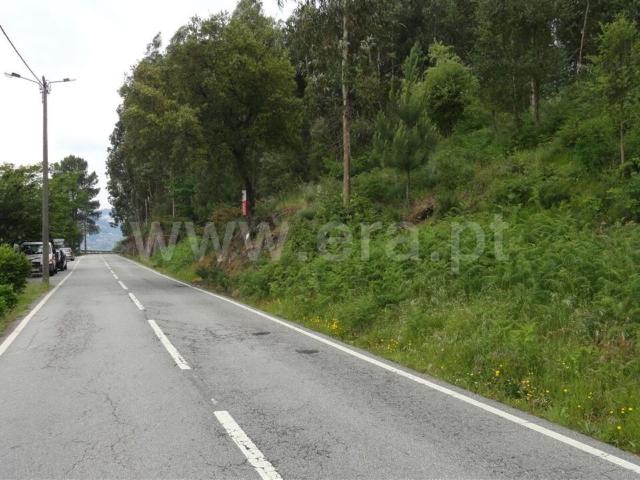 Terreno venda em Medados, Cinfães