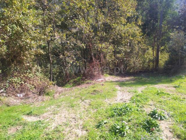 Terreno venda em Santiago De Piães, Viseu