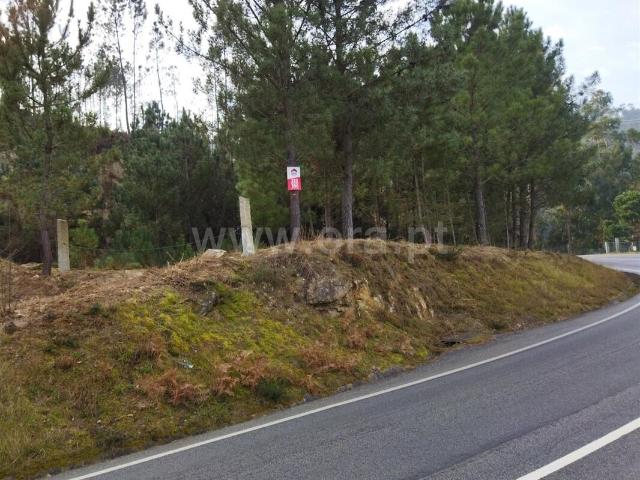 Terreno venda em Santiago De Piães, Viseu