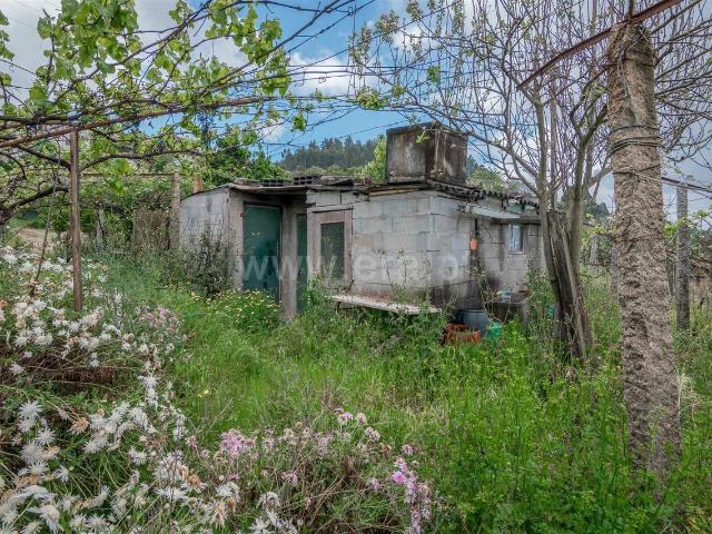 Terreno venda em Escamarão, Souselo