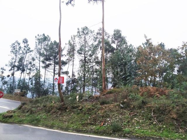 Terreno venda em Travanca, Viseu