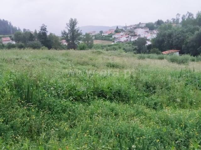 Terreno venda em Travanca, Viseu