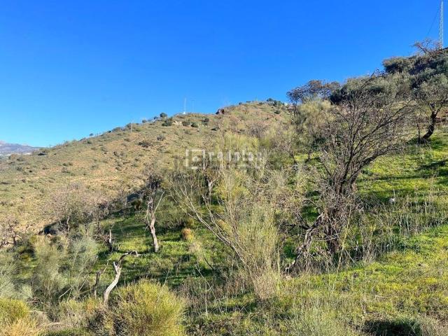 Terreno en venta en Palma-Palmilla, Málaga-Costa del Sol