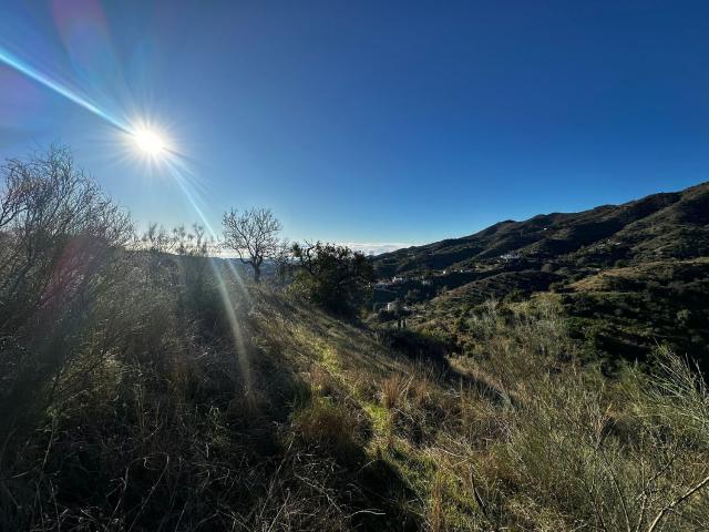 Terreno en venta en Palma-Palmilla, Málaga-Costa del Sol