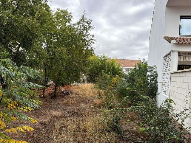 Terreno en venta en Pio XII, Ciudad Real