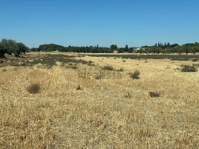 Terreno en venta en Ciudad Real, Castilla-La Mancha