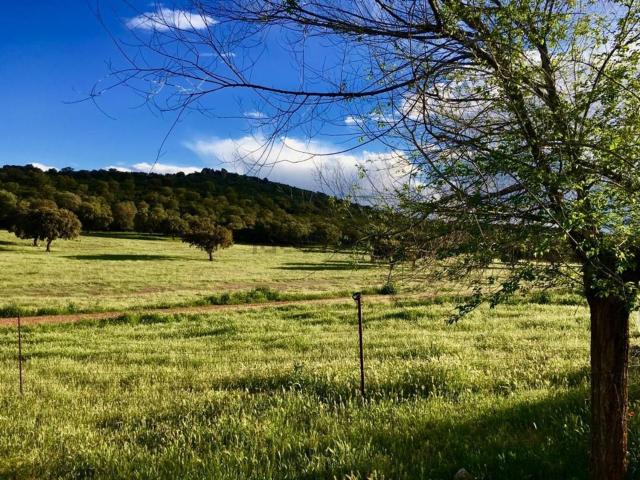 Terreno en venta en Pio XII, Ciudad Real