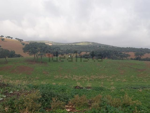 Terreno en venta en Pio XII, Ciudad Real
