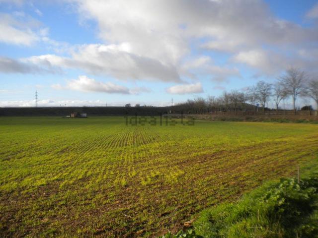 Terreno en venta en Ciudad Real, Castilla-La Mancha