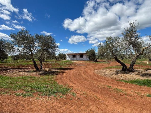 Terreno en venta en Ciudad Real, Castilla-La Mancha
