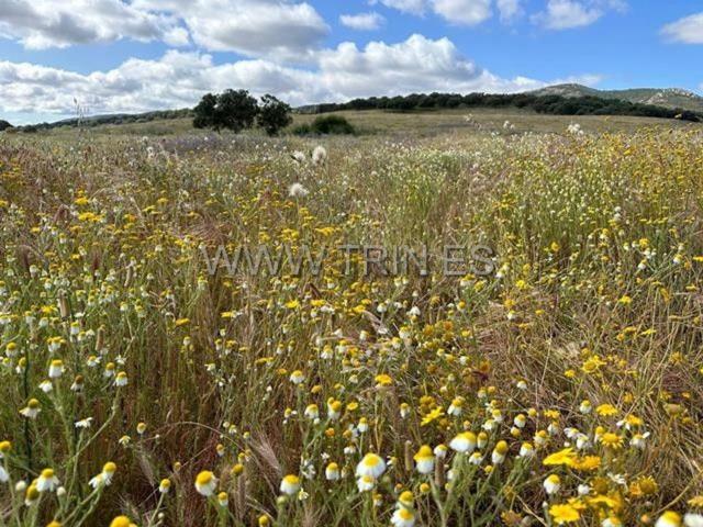 Terreno en venta en Pio XII, Ciudad Real