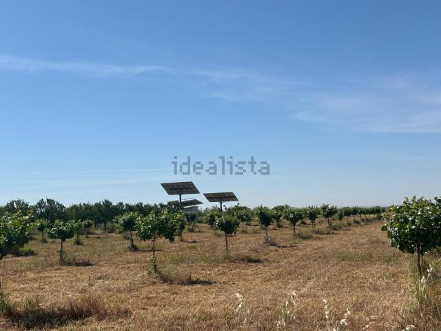 Terreno en venta en Ciudad Real, Castilla-La Mancha
