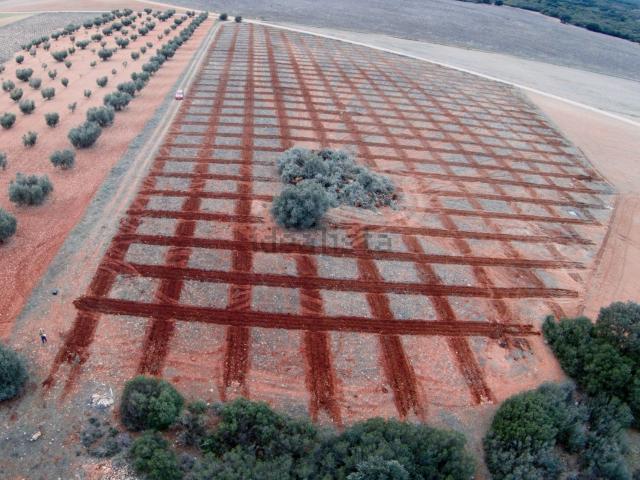 Terreno en venta en Carrión De Calatrava, Castilla-La Mancha