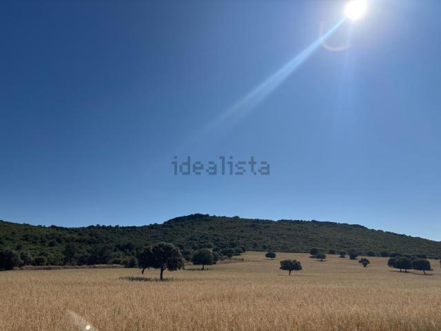 Terreno en venta en Ciudad Real, Castilla-La Mancha