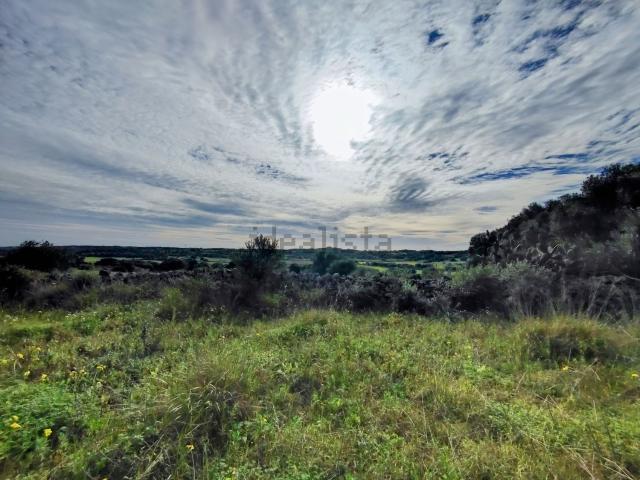 Terreno en venta en Menorca, Baleares
